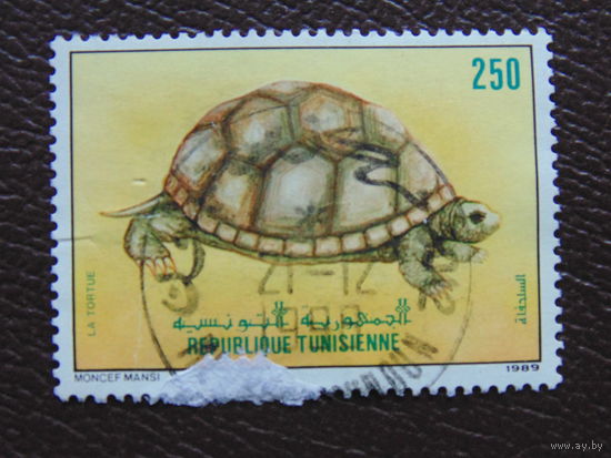 Тунис  1989г. Фауна.