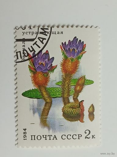 1984 СССР Водные цветы. Эвриала устращающая