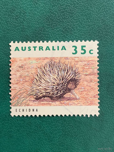 Австралия 1995. Фауна. Ехидна