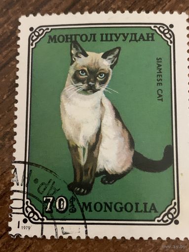 Монголия 1979. Домашние кошки. Siamese cat. Марка из серии