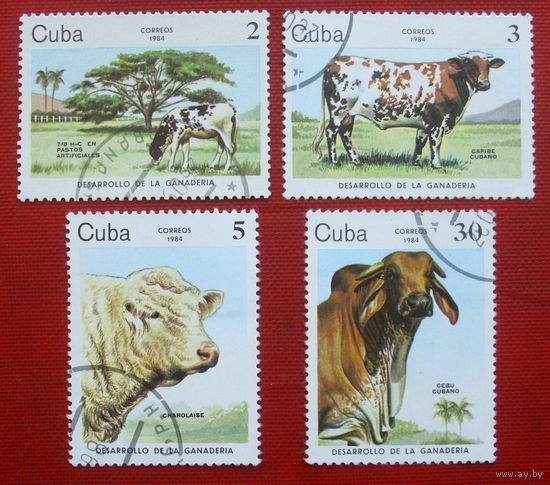 Куба. Коровы. ( 4 марки ) 1984 года. 2-19.