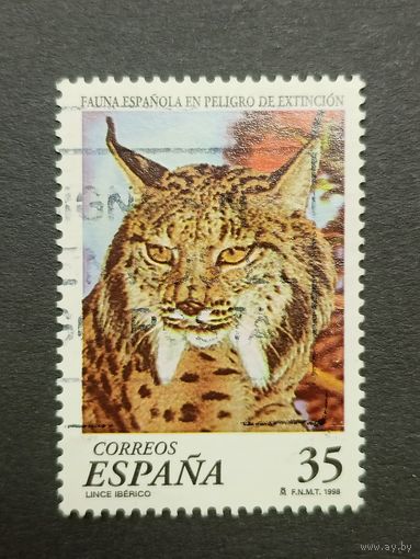 Испания 1998. Редкие животные - Евразийская рысь. Полная серия
