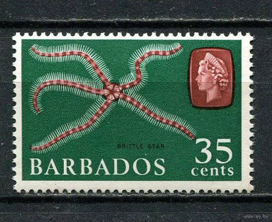 Британские колонии - Барбадос - 1965/1967 - Морская фауна 35С - [Mi.245X] - 1 марка. MH.  (Лот 77Dh)