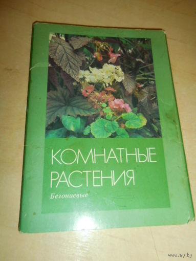 Открытки комнатные растения