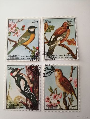 Шарджа 1972. Птицы