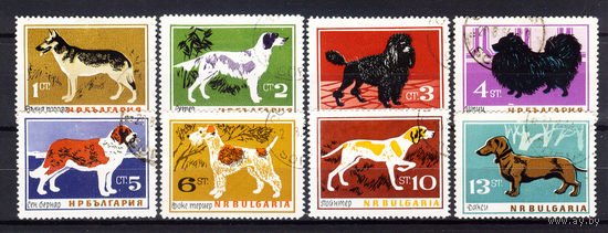 1964 Болгария. Собаки