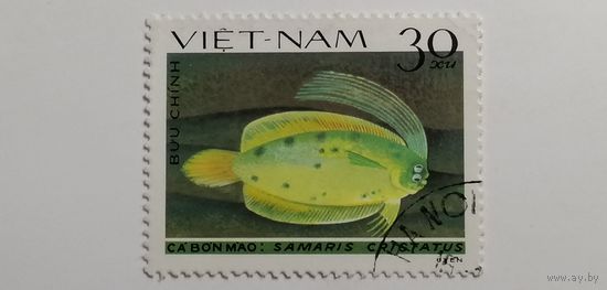 Вьетнам 1982. Рыбы. Полная серия