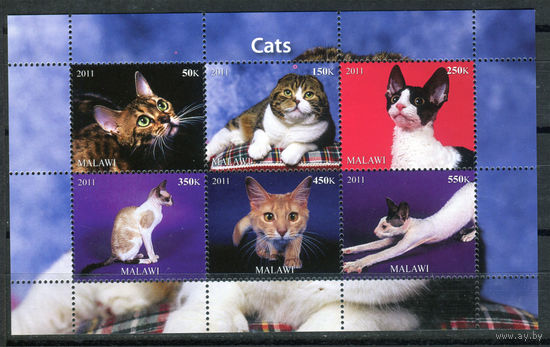 Малави - 2011г. - Кошки - полная серия, MNH - 1 малый лист