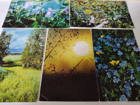5 чистых открыток с природой России одной серии, 1972г.