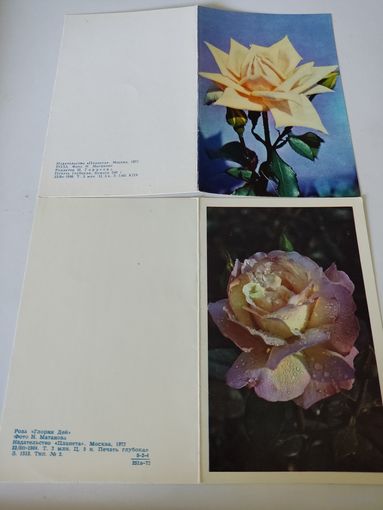 2 двойные открытки с фото Н.Матановой