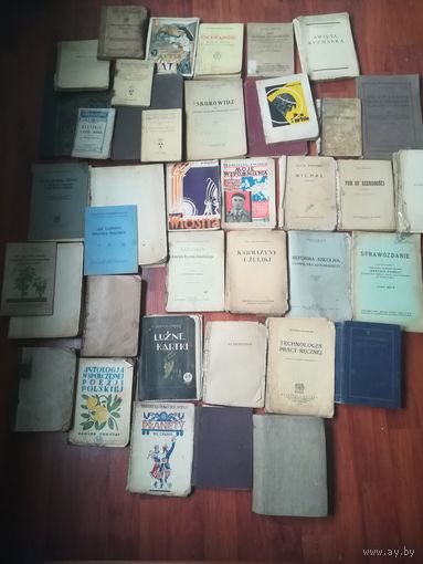 41 книга Польша до 1939 года