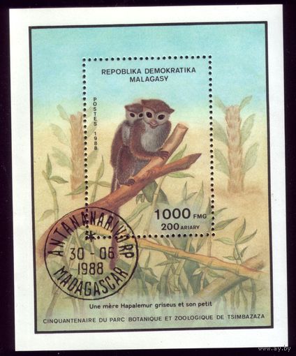 Блок и 3 марки 1988 год Мадагаскар Зверинец 77 1129-1131