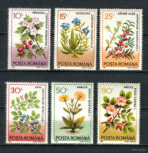 Румыния - 1993 - Цветы и ягоды - [Mi. 4866-4871] - полная серия - 6 марок. MNH.  (Лот 90DY)-T3P41