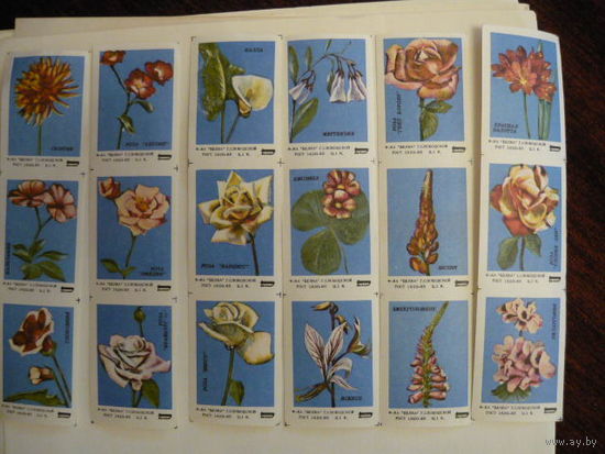 Спичечные этикетки:Цветы.Слободской-85 (клей)