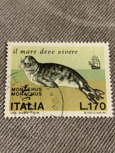 Италия 1978. Морские котики. Марка из серии