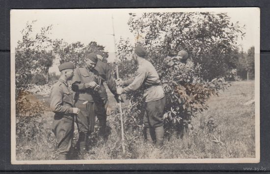 Военные Униформа Армия 1938 Латвия Литва ? Почтовая Карточка Фотооткрытка Открытка Фото 1 шт