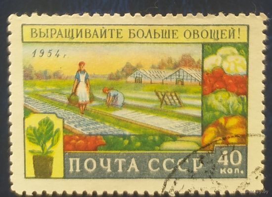 СССР 1954 Сельское хозяиство, без клея