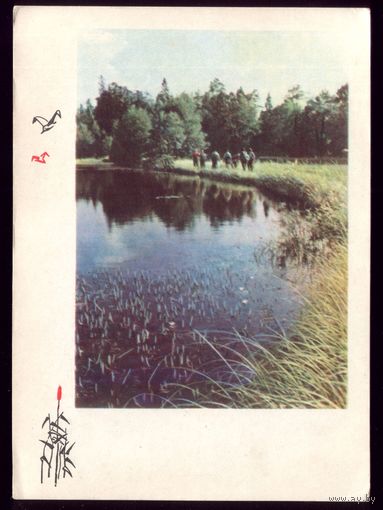 1965 год Нарочанский пейзаж