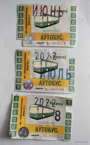 Проездной билет 2022 г. Рогачев Нового образца