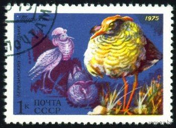 Фауна СССР 1975 год 1 марка