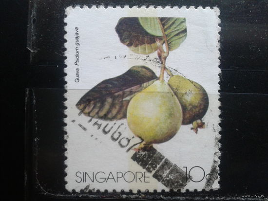 Сингапур, 1986. Плоды гуавы