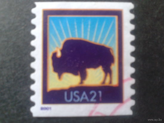 США 2001 стандарт, бизон