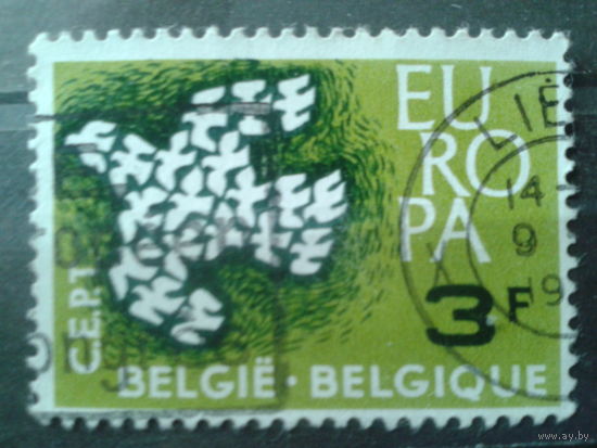 Бельгия 1961 Европа