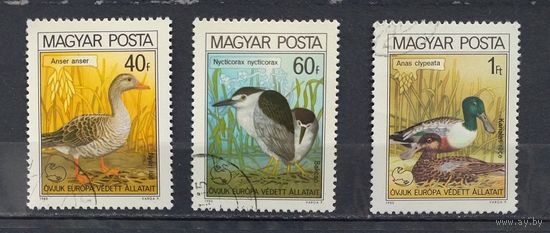 Венгрия.1980.Птицы (3 марки)