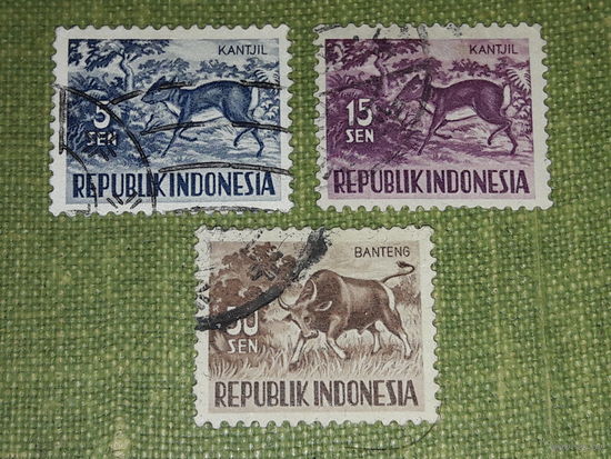 Индонезия 1956 Стандарт. Фауна. Канчиль (оленёк),  Буйвол. 3 марки одним лотом
