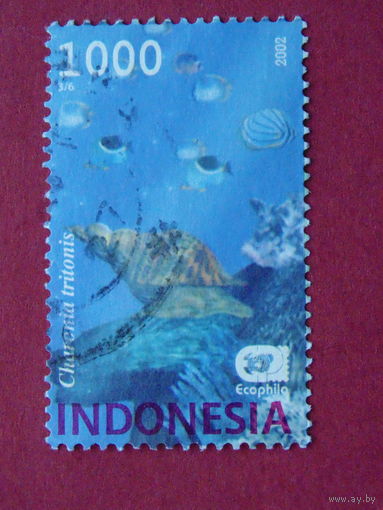 Индонезия 2002г. Морская фауна.