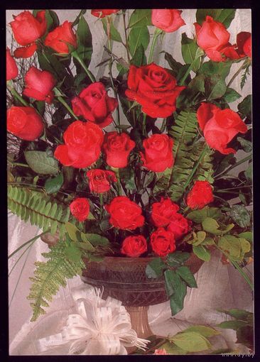1999 год ДПМК Цветы 2