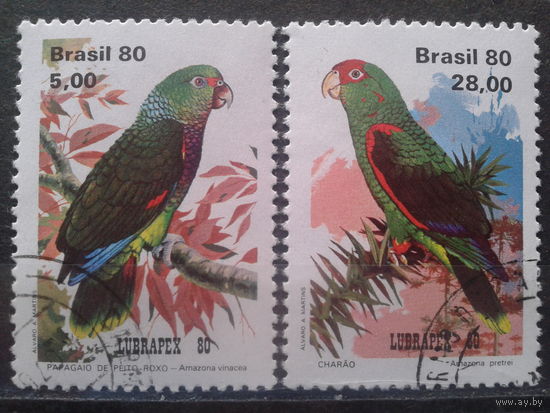Бразилия 1980 Попугаи Михель-1,5 евро гаш