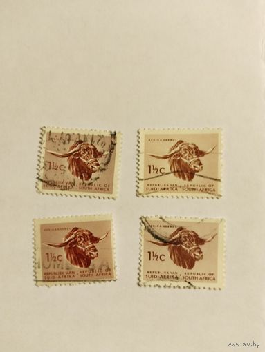 ЮАР  1961-63 буйвол 2м