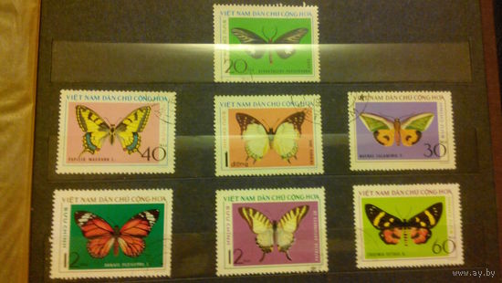 Насекомые, бабочки, фауна, марки, Вьетнам, 1976