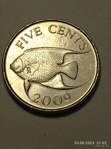 Бермуды 5 цент 2009 года .
