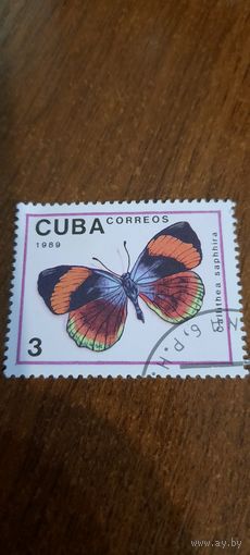 Куба 1989. Бабочки. Calithea saphhira. Марка из серии