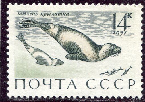 СССР 1971. Тюлени