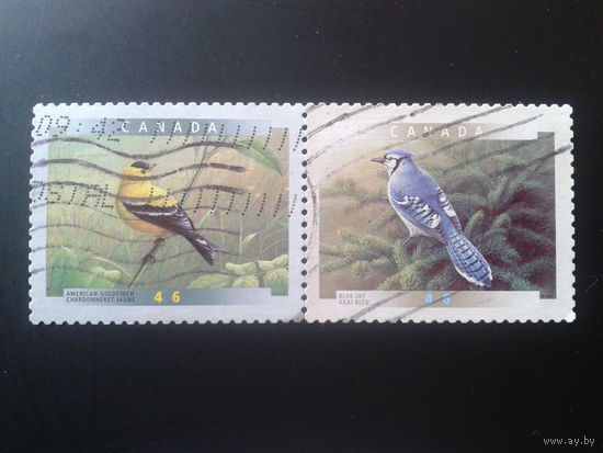 Канада 1999-2000 птицы