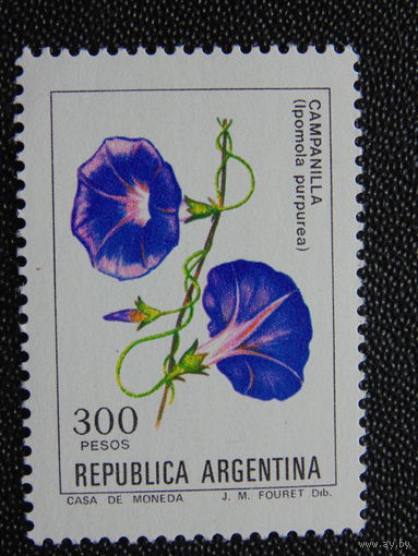 Аргентина.  Цветы.