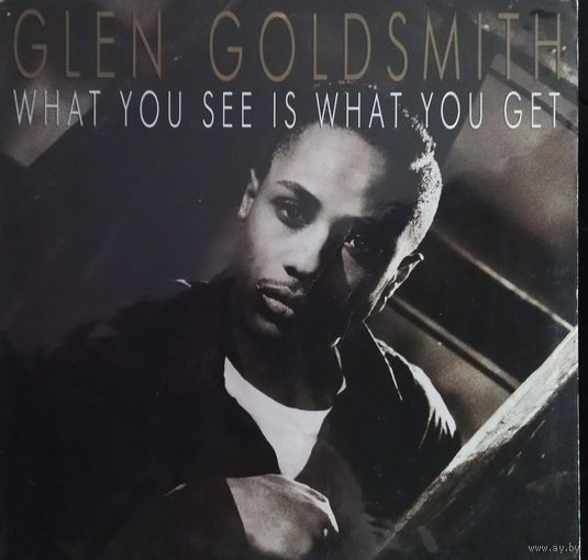 Glen Goldsmith. 1988, BMG, LP, NM, Germany