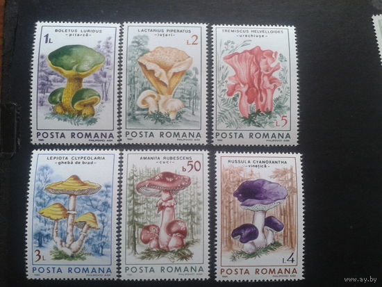 Румыния 1986 грибы полная серия