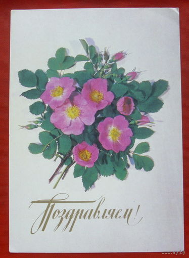 Поздравляем! Чистая. 1987 года. Дергилевой. 1680.