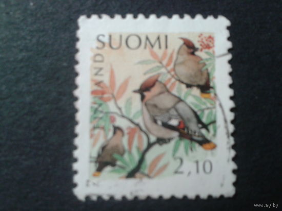 Финляндия 1992 стандарт, птицы