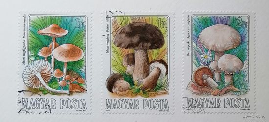 Венгрия /1984/ флора-Грибы / 3 марки из серии