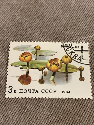 СССР 1984. Кубышка жёлтая. Марка из серии