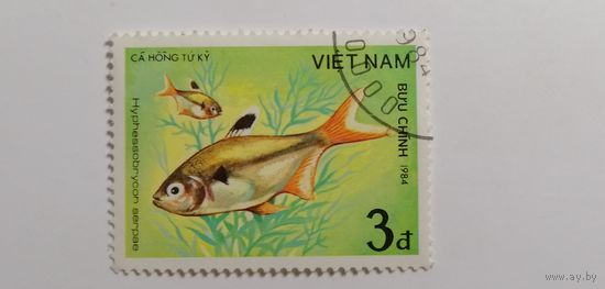 Вьетнам 1984. Рыбы