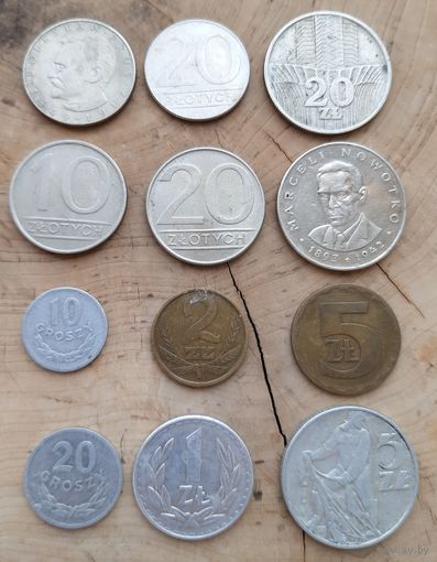 Набор польских грошей и злотых