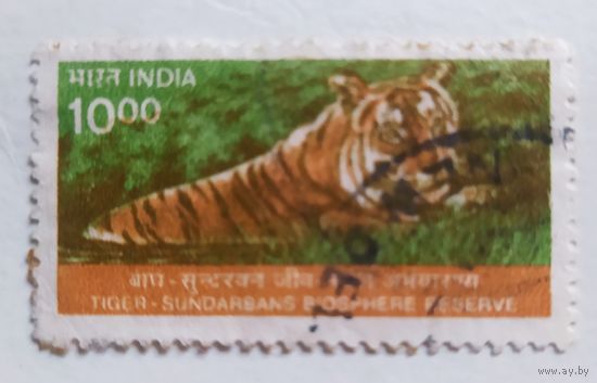 Индия, тигр