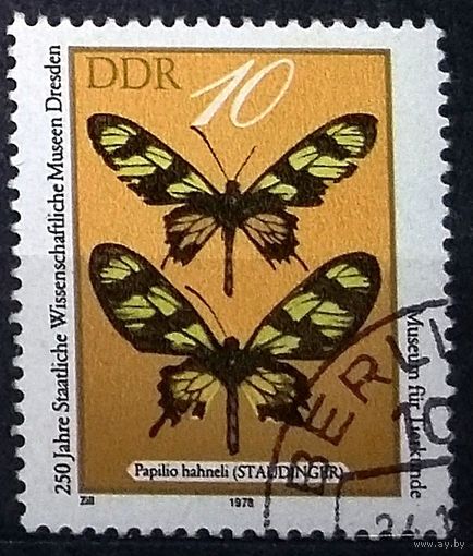 Германия ГДР 1978 г Фауна Бабочки Музей Ми 2370 (АНД