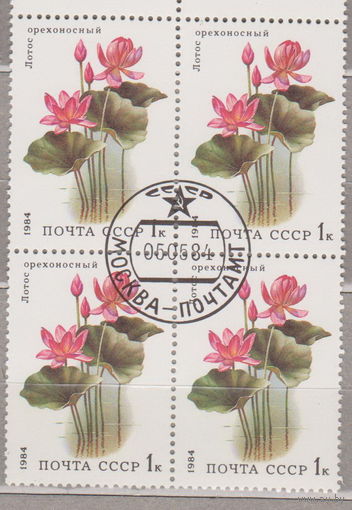 КВАРТБЛОК флора  цветы травы лотос орехоносный СССР 1984 год лот 3